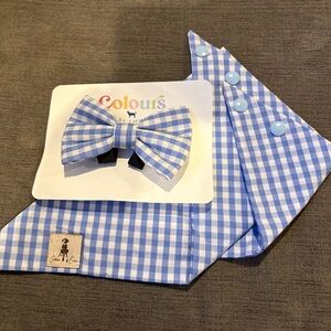 Coulours by Emma puppy Blue Checkered Bow Tie and Bandana Set